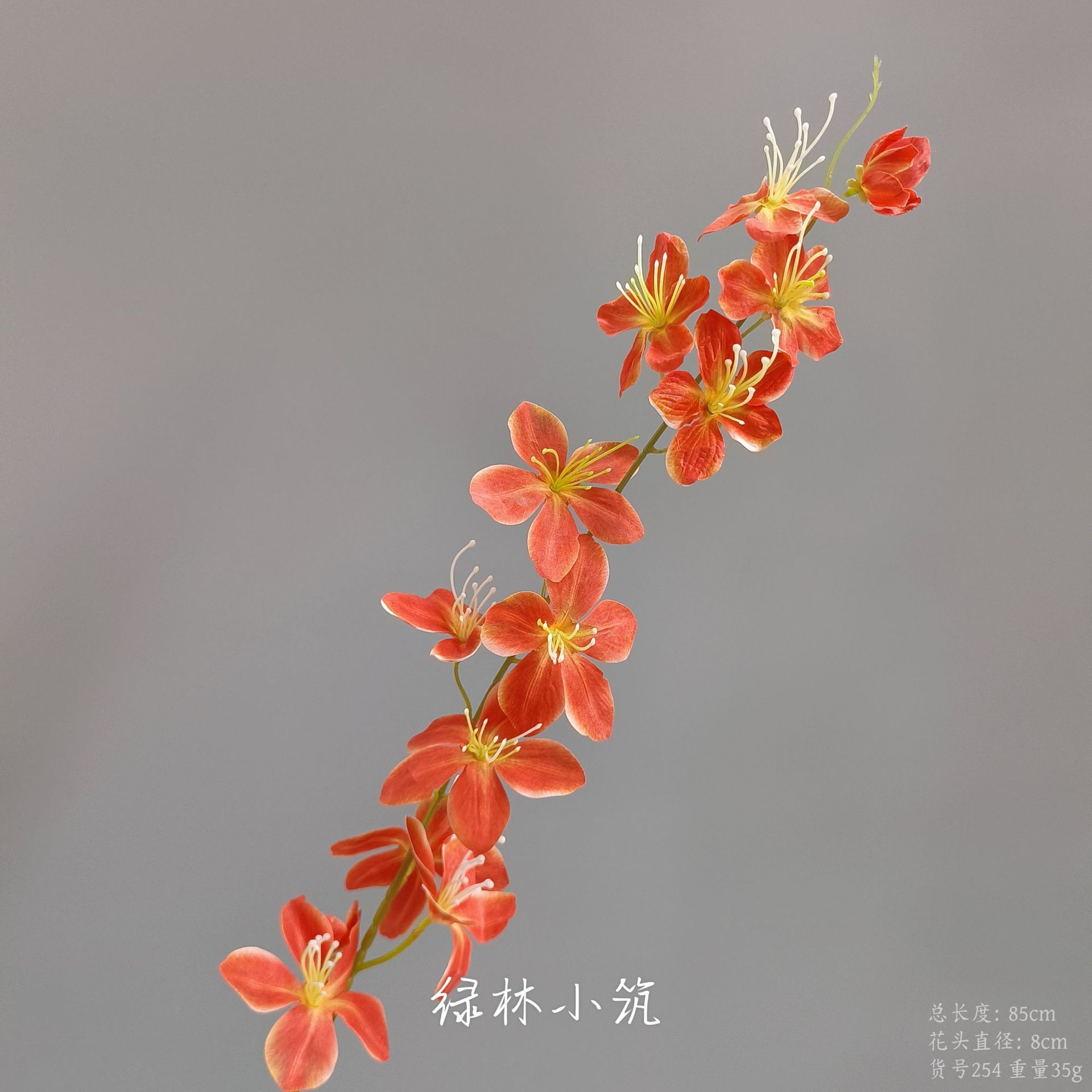 품목 번호 254-한 가지 베고니아 꽃