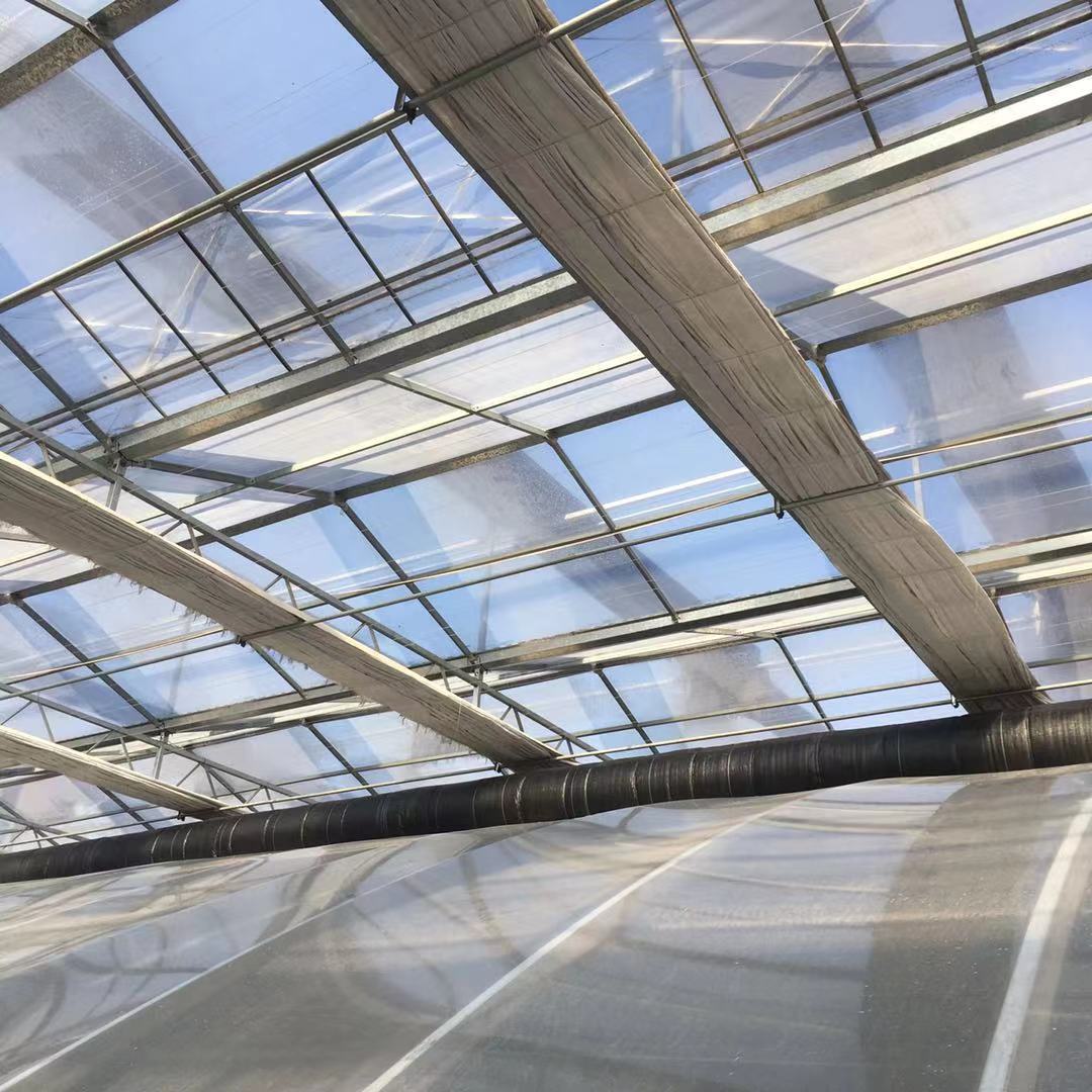 fffa990c20d529e37b63d5abea9a92