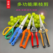 ����ˮ�����ü����ɼ��ӏ����߹�ժ�����ӈ@ˇ��ϡ����������֦��