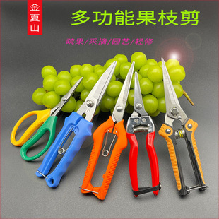 ����ˮ�����ü����ɼ��ӏ����߹�ժ�����ӈ@ˇ��ϡ����������֦��