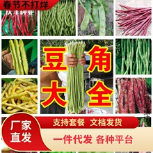 һlȫǷNļͶoܶNݾGLǴ