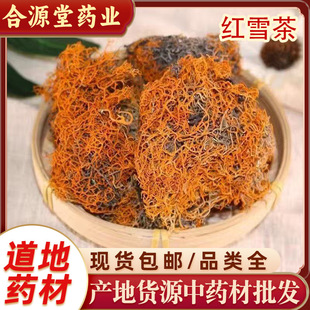 �tѩ����ș�����l ��؛���ؼtѩ�� ܛ��¹��ѩ�� ��zѩ������