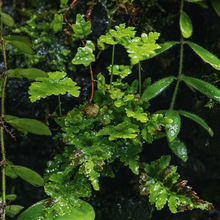 ��������βާ���һ�޵���F��ާ����̦�\���B΢���^��������ֱֲ�N