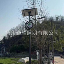 浙江义务玉美大陈镇6米模块LED路灯防坠路路面 特色高杆灯5G路灯