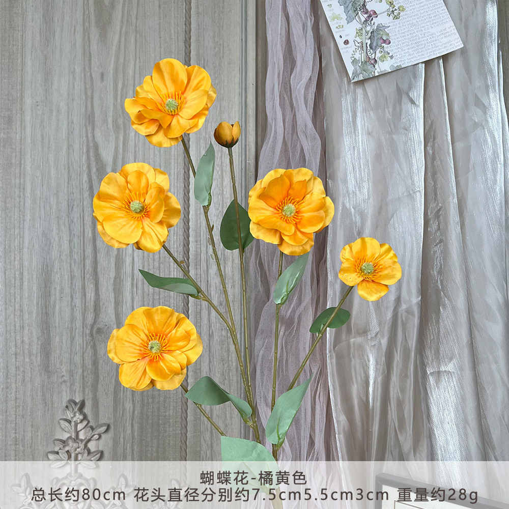JHGY-Bướm-Cam