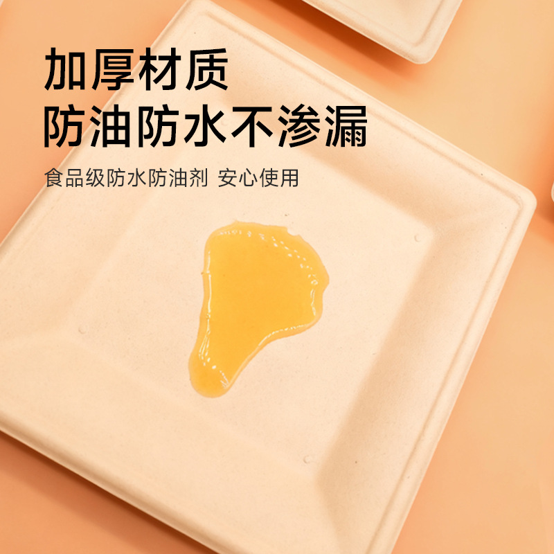 Caja de comedor desechable de pulpa de caña de azúcar Shaolou cubiertos ecológicos biodegradables platos domésticos para picnic al aire libre