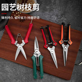 强力摘果剪园林省力修枝剪多功能便捷树枝剪不锈钢家用花艺专用剪