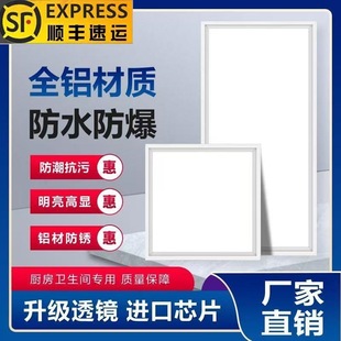 Lei Shiji Integrated Ceiling Led Light 30X60 Kitchen Bathroom Flat Light Embedded Ceiling Aluminum Gusset Lighting Suction