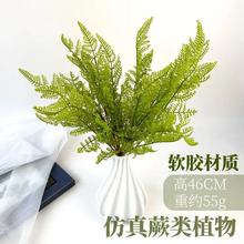 婚庆塑料仿真植物墙配材波斯蕨凤尾蕨羊齿蕨软胶大号蕨类大多叶草
