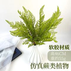 婚庆塑料仿真植物墙配材波斯蕨凤尾蕨羊齿蕨软胶大号蕨类大多叶草