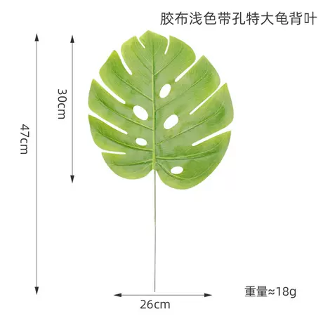 Light-colored perforated turtle leaf★