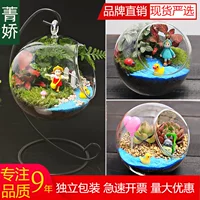 Micro landscape, table glass materials set, DIY, Birthday gift