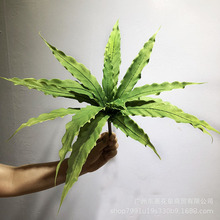 仿真蕨类植物15片鸟巢蕨绿色蕨草室外植物墙配材婚庆装饰波斯叶