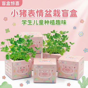 С�i����ֲ��ä��С�����׃��@�Y���҃ȷNֲ�W������Gֲ�[���YƷ