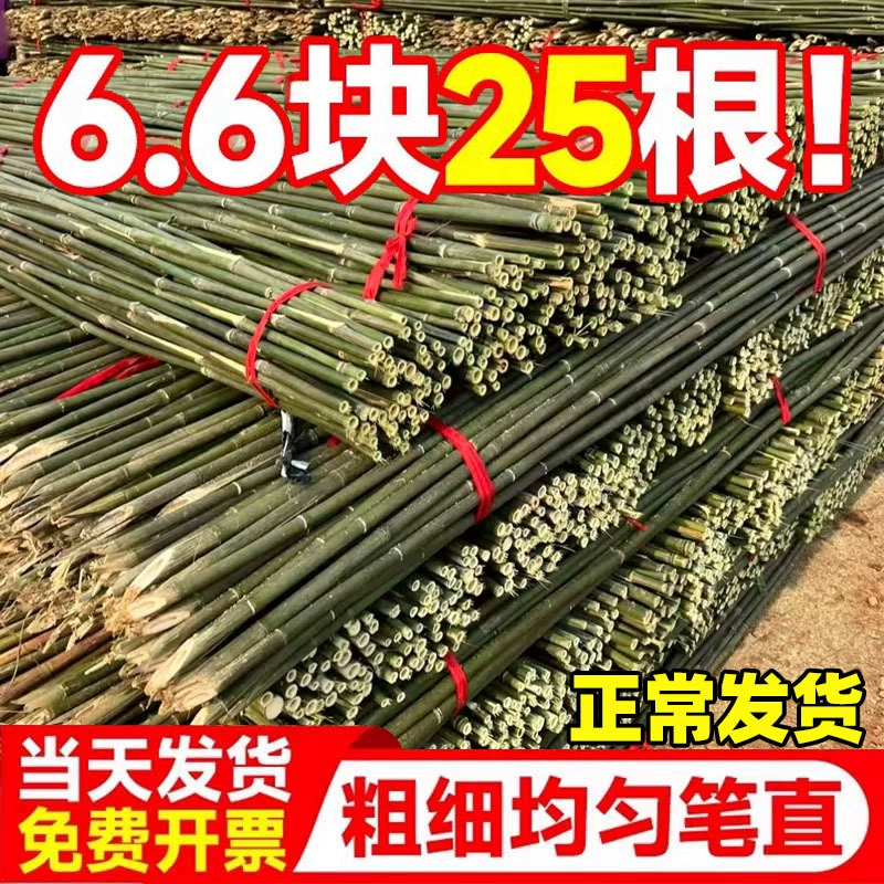 Бамбуковый столб, рамка для огорода, садовая стойка для овощей, бамбуковый столб, забор, уличный бамбуковый забор, антикоррозийный, прочный, красочный флагшток, бамбуковая палка