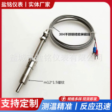 �������{����ʽ���ż�����K/E��PT100��WRNT/WZPT-01�М�̽�^