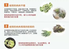 多肉植物绿植盆栽包邮客厅花卉室内观赏露天懒人好养雨燕座盆景