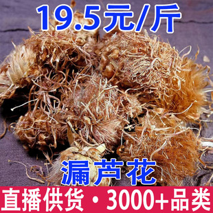 ©�J�� ©�J�� ���^�� �m ������ ���[�����l���l