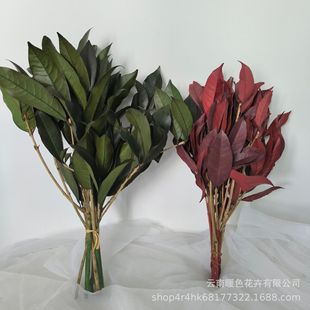 ���������~�Ҿ�ܛ�b�b廨�Y��DIY��������Ļ�c�b���