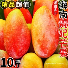 �����F��ââ�����r10�������ˮ������������5������â�����]