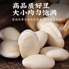 ��ϰױⶹ��؛�r���s�Z��Ʒ�N�h�x/��/��С�ױⶹ��С�׶�