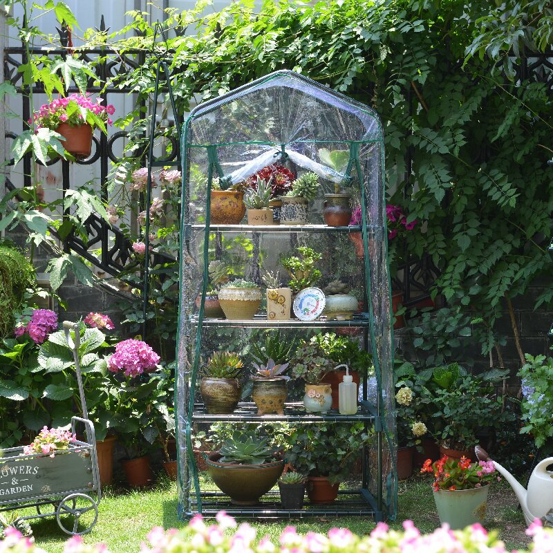 Serra per piante grasse in vaso a quattro strati in PVC, mini serra per piantine, resistente al freddo e alla pioggia._voghion.com