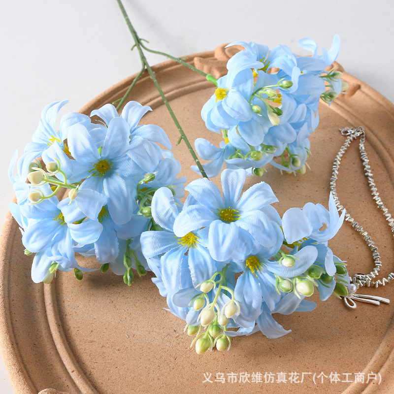 野绣球蓝色