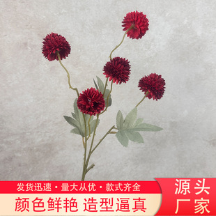 5�^С����ѹ�Ӣ��c���滨�[�^��Y��ܛ�b����·���廨������ˇ