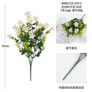 ����ֲ�������m���ٻ�����~�m��ˮ�ɻ�����Ҿ��b��Ʒ��ˇ���l