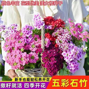 ����ʯ��N���ļ��ͺ����������ʯ��N�������̨ʯ�񻨻ܷN����