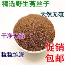 ���ɹ��˽z��ʳ���ݲ� Ұ�˽z�� �½z�� �Ƀ��o�s����ɳԷ�Ӱ��]