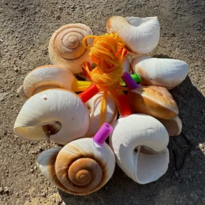 [螺号贝壳海螺口哨 装饰贝壳海螺 旅游景区工艺品地摊货源海螺口哨]