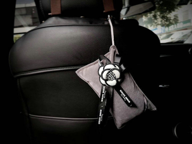 Car Bamboo Charcoal Bag for New Cars, Odor Removal, Formaldehyde Removal, Fragrance Sachet, Car Interior Decoration, Dual-Use for Home and Car, Air Purification