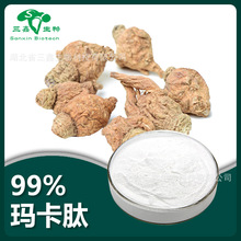 玛卡肽99% 玛卡提取物小分子活性肽 玛咖多肽 低聚肽粉末 玛咖粉