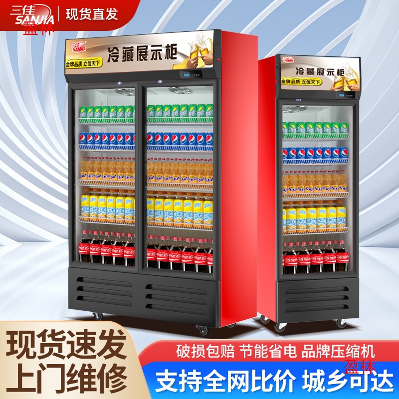 立式冰柜饭店保鲜柜啤酒饮料柜柜冷藏展示柜冰箱单门商用双门超市
