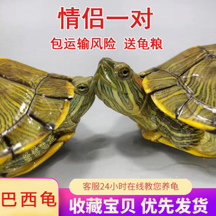 �������猙�ﵭˮ���t����ˮ�����B��С�����������Z��������H��