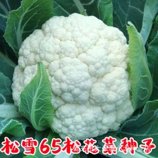 65���๣�ɻ��˻�Ҭ�˷N���͟����ͺ��׻�Ҭ�˷N�̨�����߲˷N��