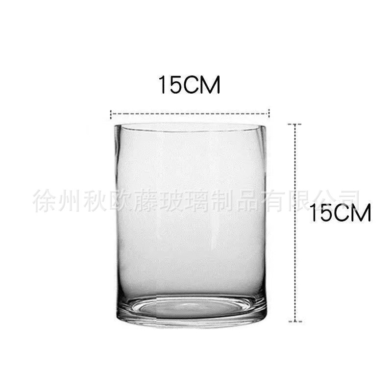 大号透明直筒玻璃花瓶批发客厅落地富贵竹鲜花水培花器摆件ins风|undefined