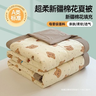 Class a Xinjiang Cotton All-Cotton Summer Quilt 100% Pure Cotton Machine Washable Air-Conditioned Single Summer Thin Quilt Core