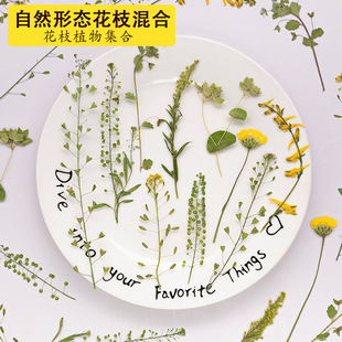 ��Ȼ�ΑBѺ���ɻ�����ֲ��̌W�˱�diy�ֹ��������z�ɻ��֙C��