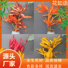 ɻ bɻ Ĕz߼Ҿӻcb