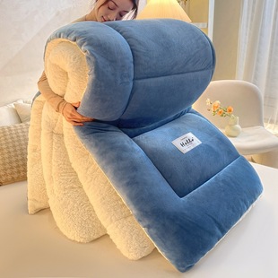 Cross-Border Lamb Wool Quilt Bedding Cotton Pad Solid Color Winter Quilt Thickened Warm Milk Velvet Quilt Core Autumn and Winter
