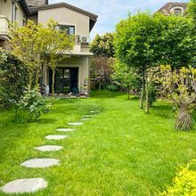 ���Ѳ�ƺ�N���o�º����ݲ�Ƥ�N���ļ�����G���R����ͥԺ���̾G��