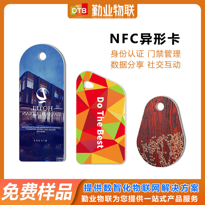 Customized Nfc Special-Shaped Card Inductive Pvc Membership Access Card Rfid Smart Tag Keychain