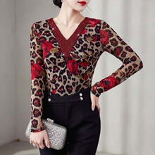 2026�����¿�v�I�L�����¾W������ӡ�����Ś��|�����@������