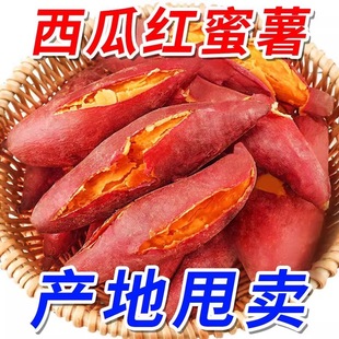 ���r���ϼt�t��ɳ���ؼt�������F�ڬF�l�������l1-9������