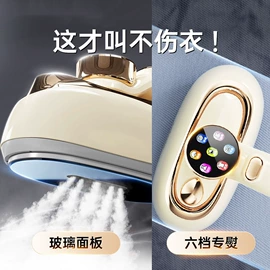 电熨斗;蒸汽清洁机
