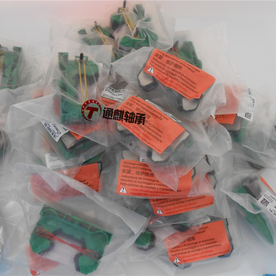 德国INA KIT系统防尘密封KIT.RWU45-E-3400中度到重度污染环境