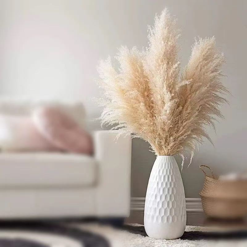 Pampas Grass and Reed Dried Flowers for Wedding Decoration, Nordic Style Natural Dried Reeds, Cross-Border Shipping, Yunnan Manufacturer Wholesale