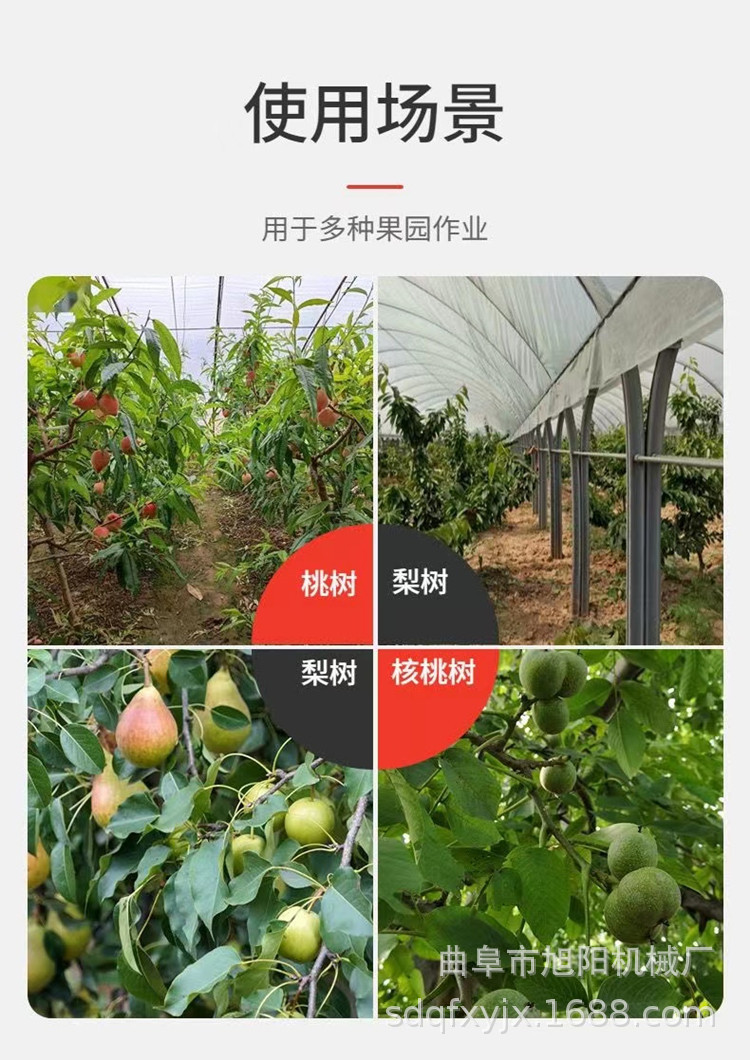 详情12.jpg